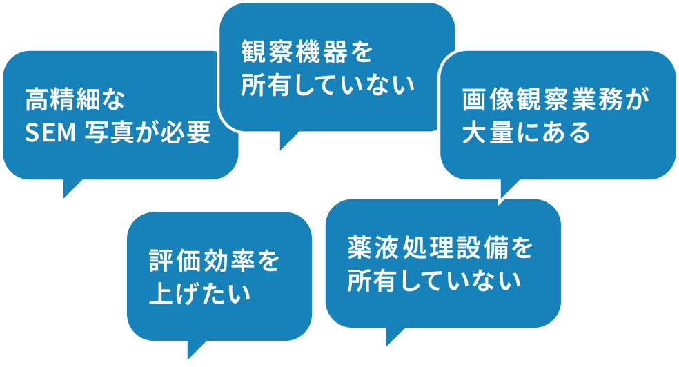 高精細なSEM写真が必要。観察機器を所有していない。画像観察業務が大量にある。評価効率を上げたい。薬液処理設備を所有していない。